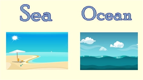 Perbedaan Kata Sea Dan Ocean