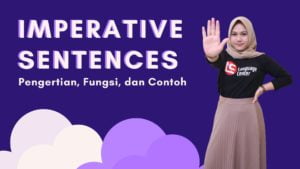 IMPERATIVE SENTENCES